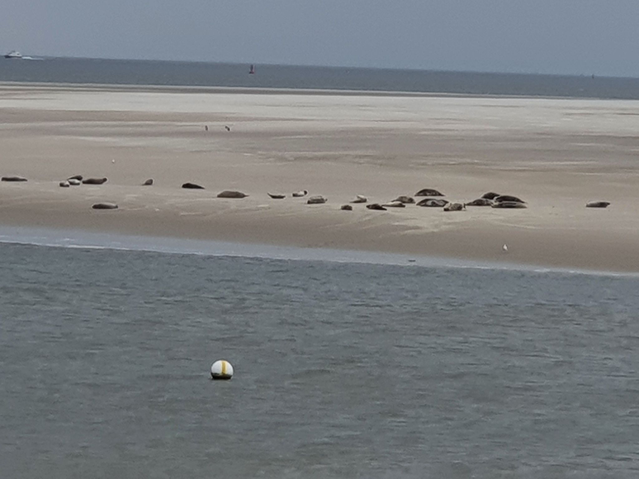 Apartment mit Terrasse am Südstrand-Drinnen