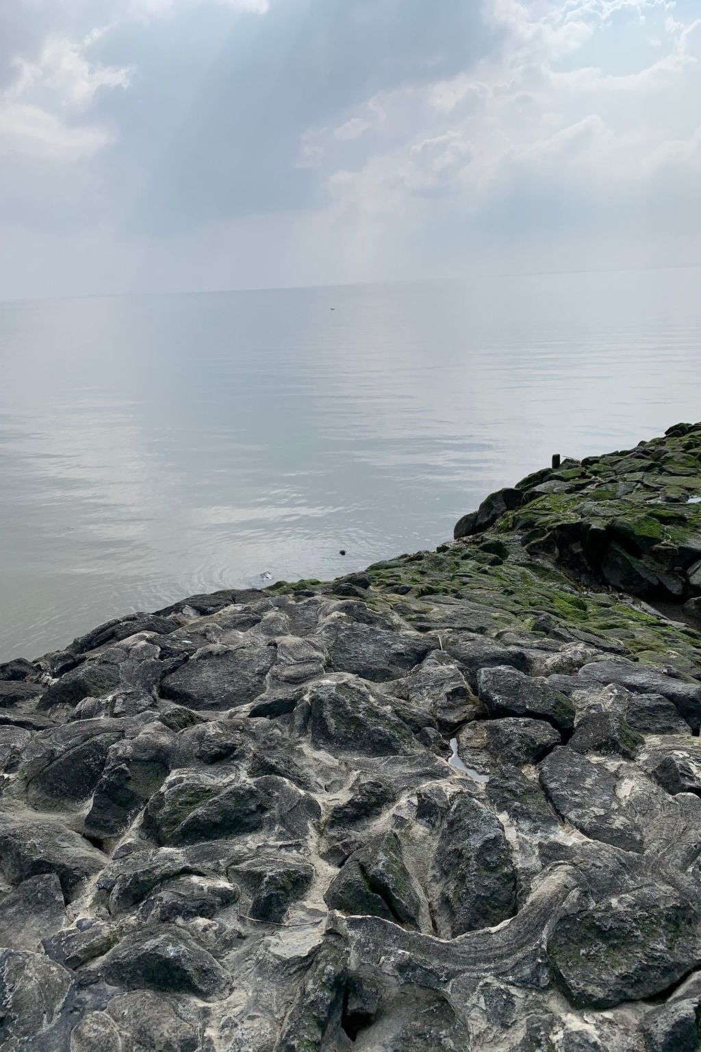 Neuhaus Deichperle-Image-tags.info