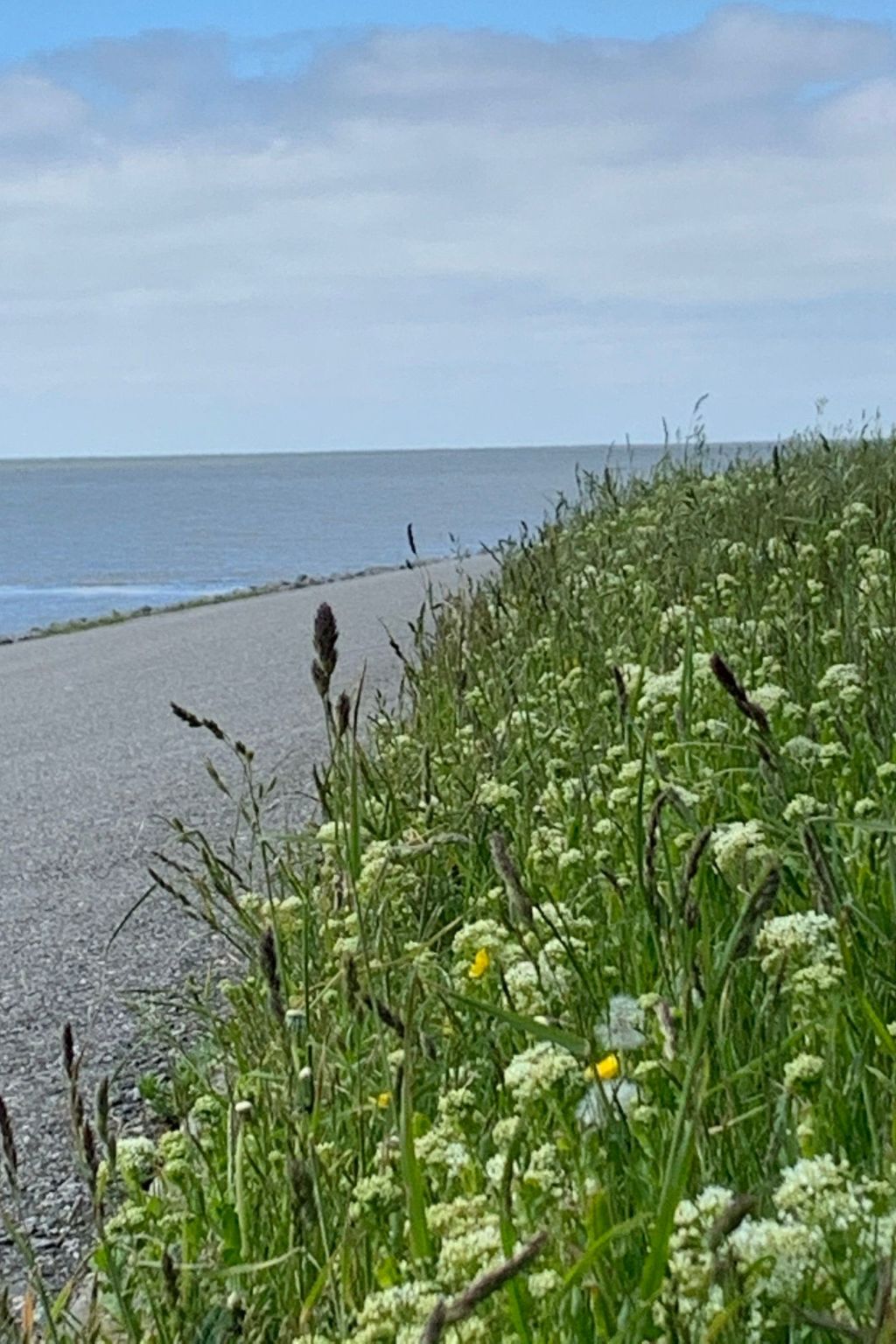 Neuhaus Deichperle-Image-tags.info