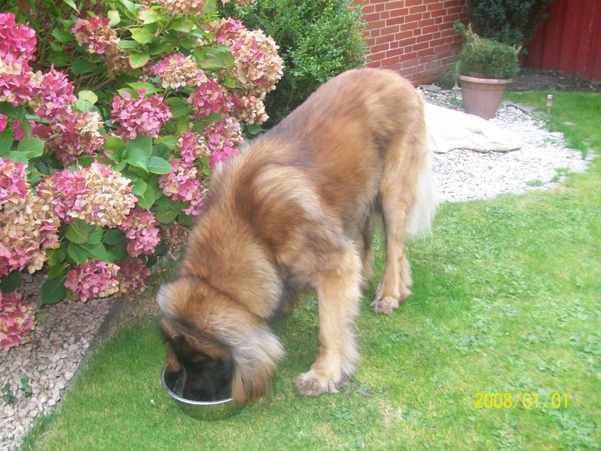 Mit umfriedetem Garten und Terrassen-Binnen