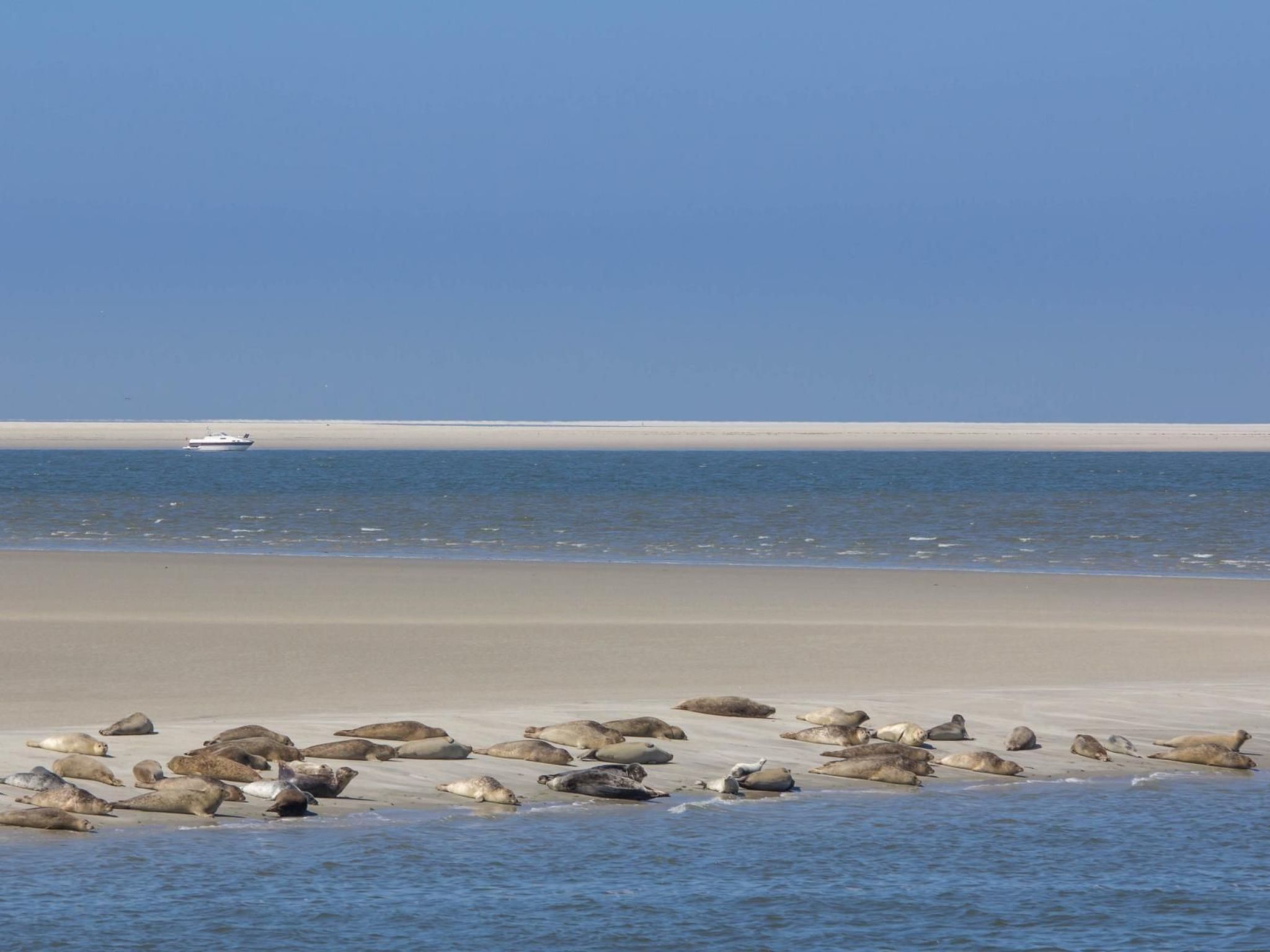 Tinis Huus ant Siel-Binnen