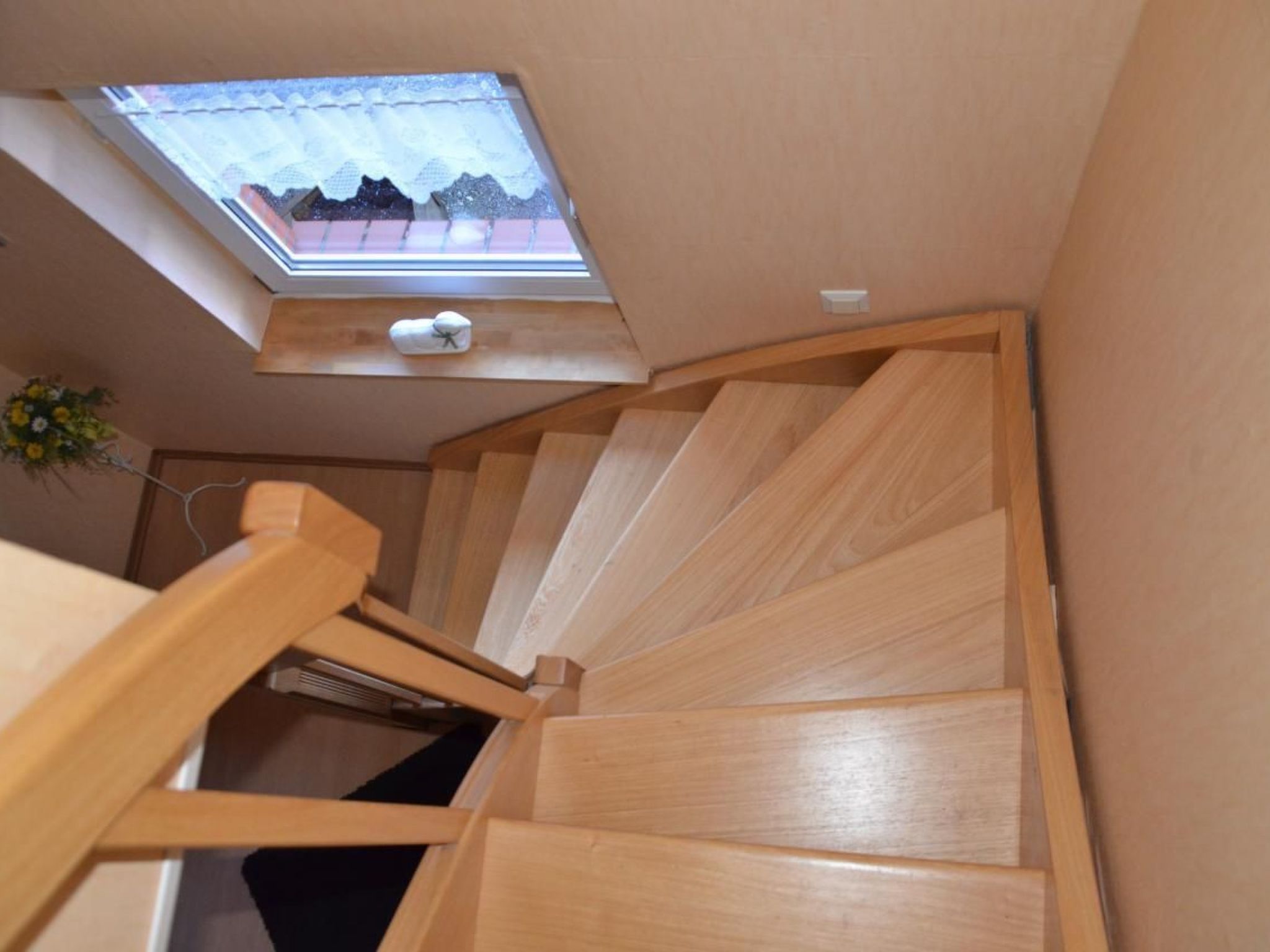 Marion-Image-tags.info