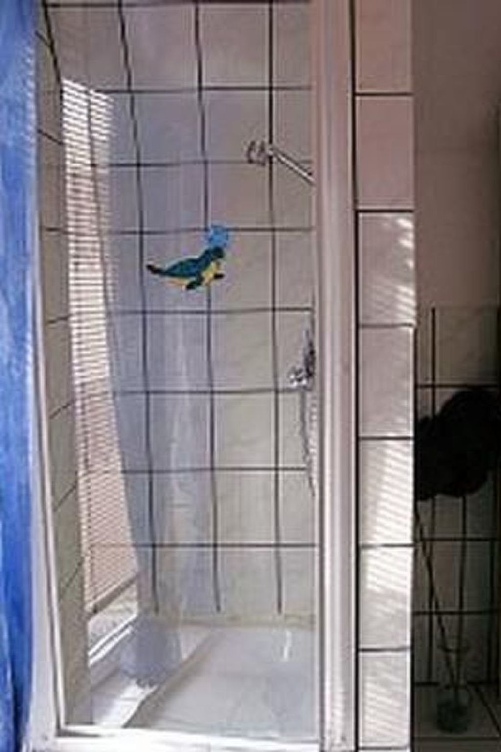 Marion-Image-tags.info