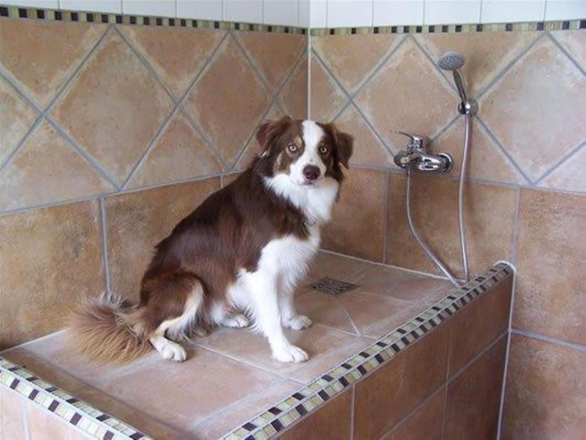 Landgut mit Dachterrasse-Image-tags.info