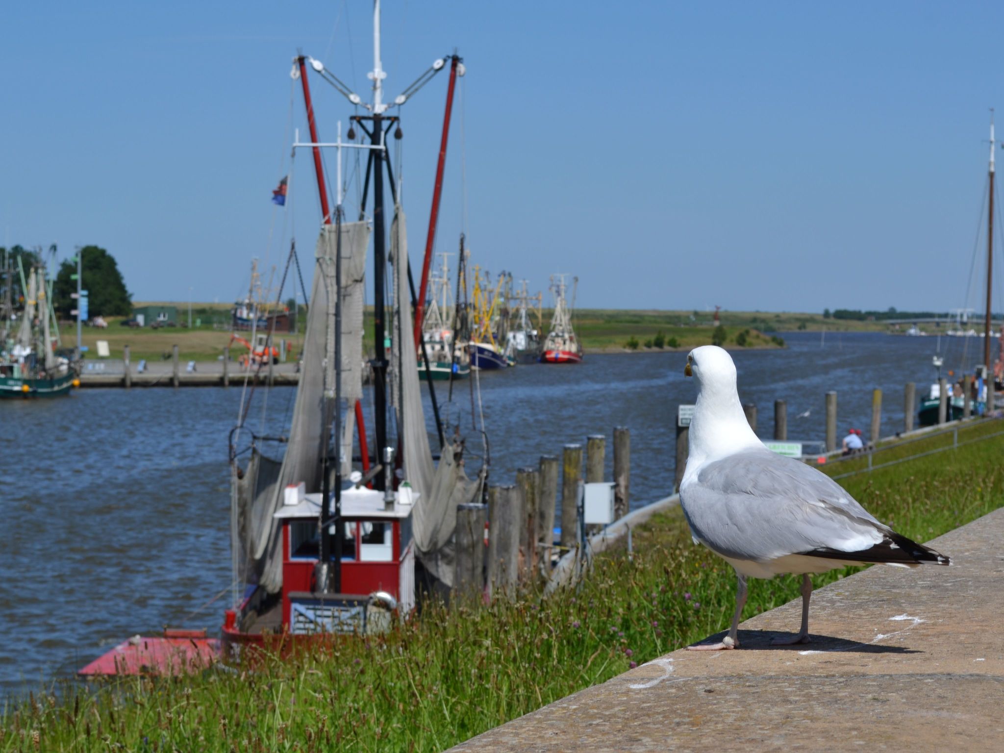 Landgut mit Dachterrasse-Image-tags.info