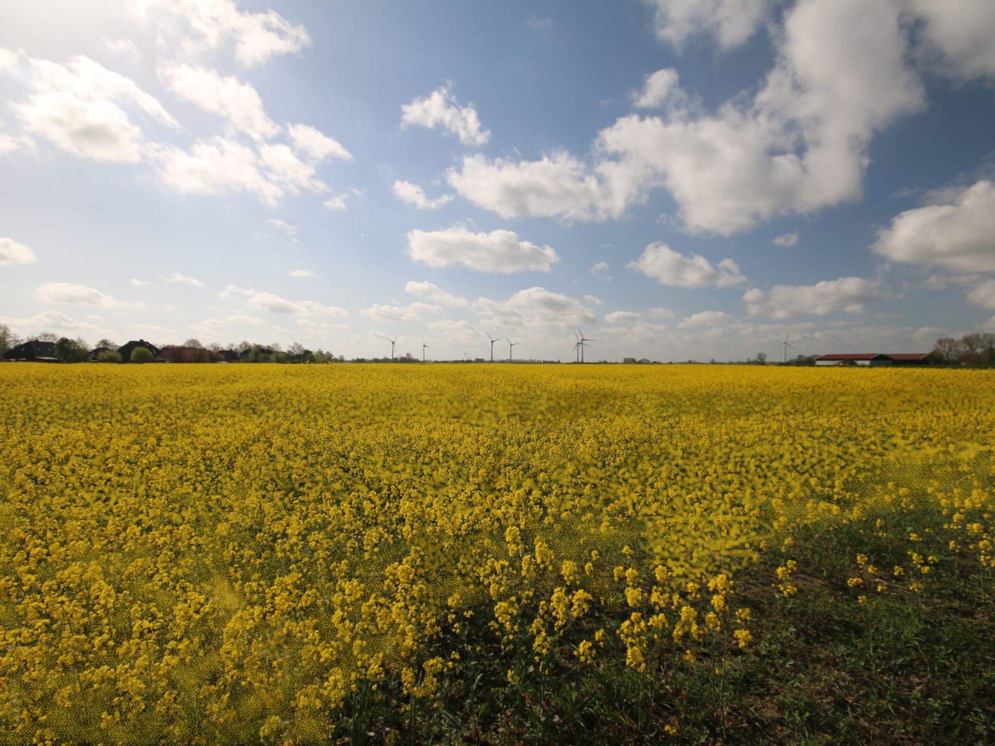Landgut mit Dachterrasse-Image-tags.info