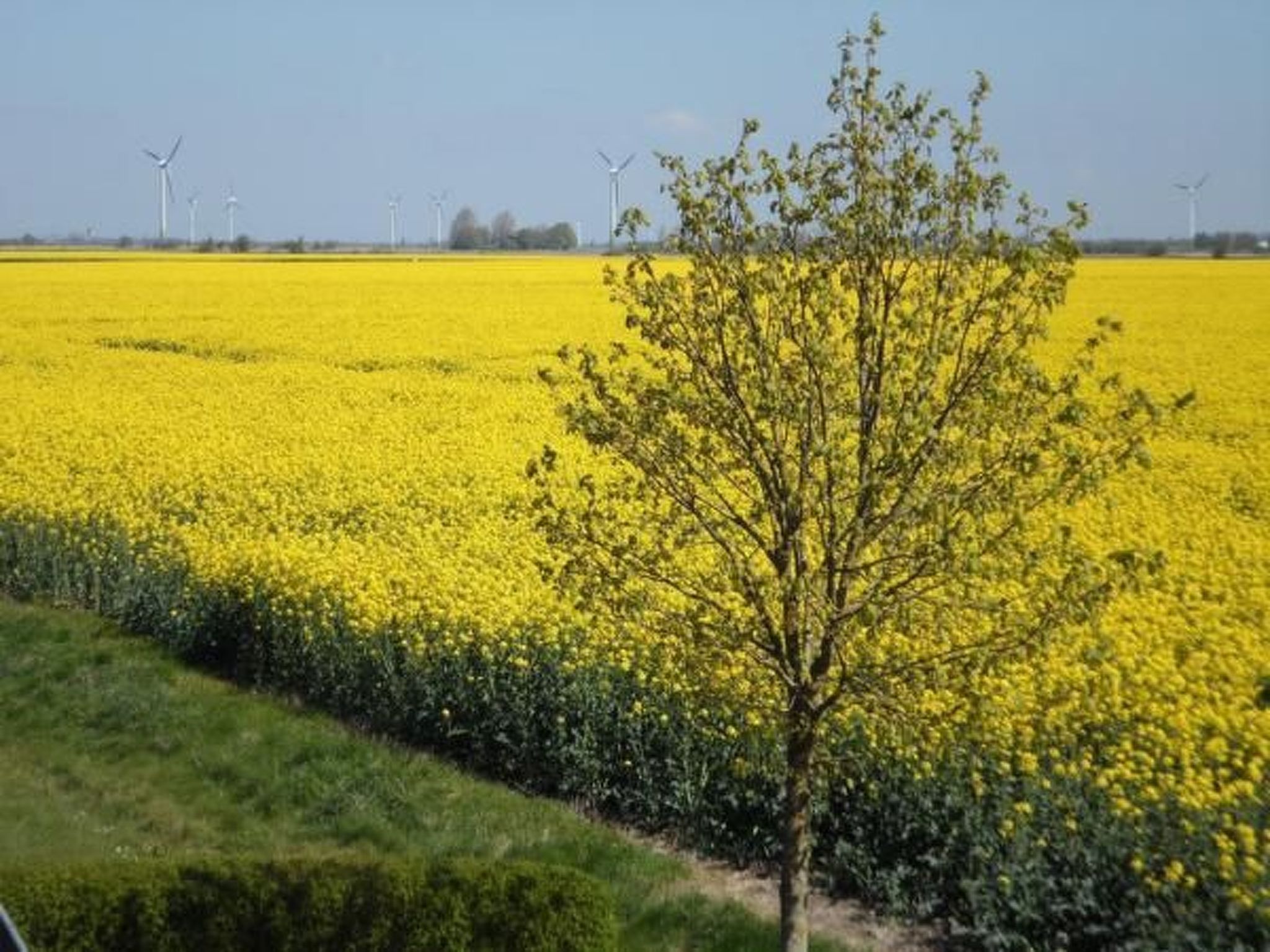 Gemütliche Ferienwohnung in Upleward mit Balkon-Binnen