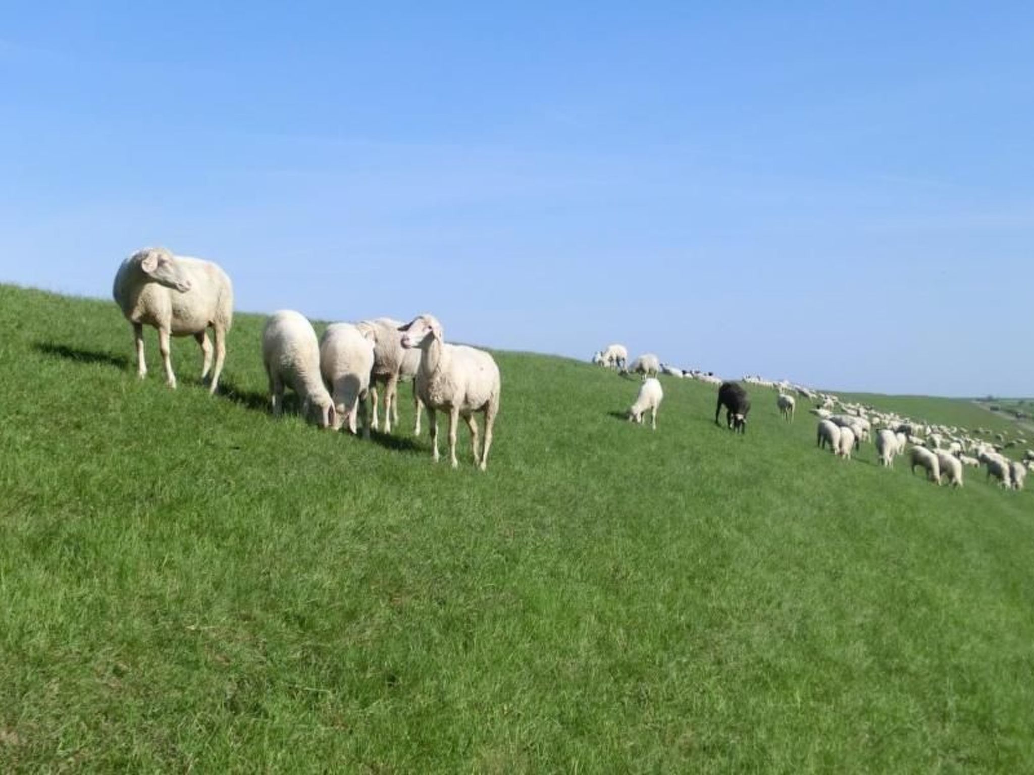 Gemütliche Ferienwohnung in Upleward mit Balkon-Binnen