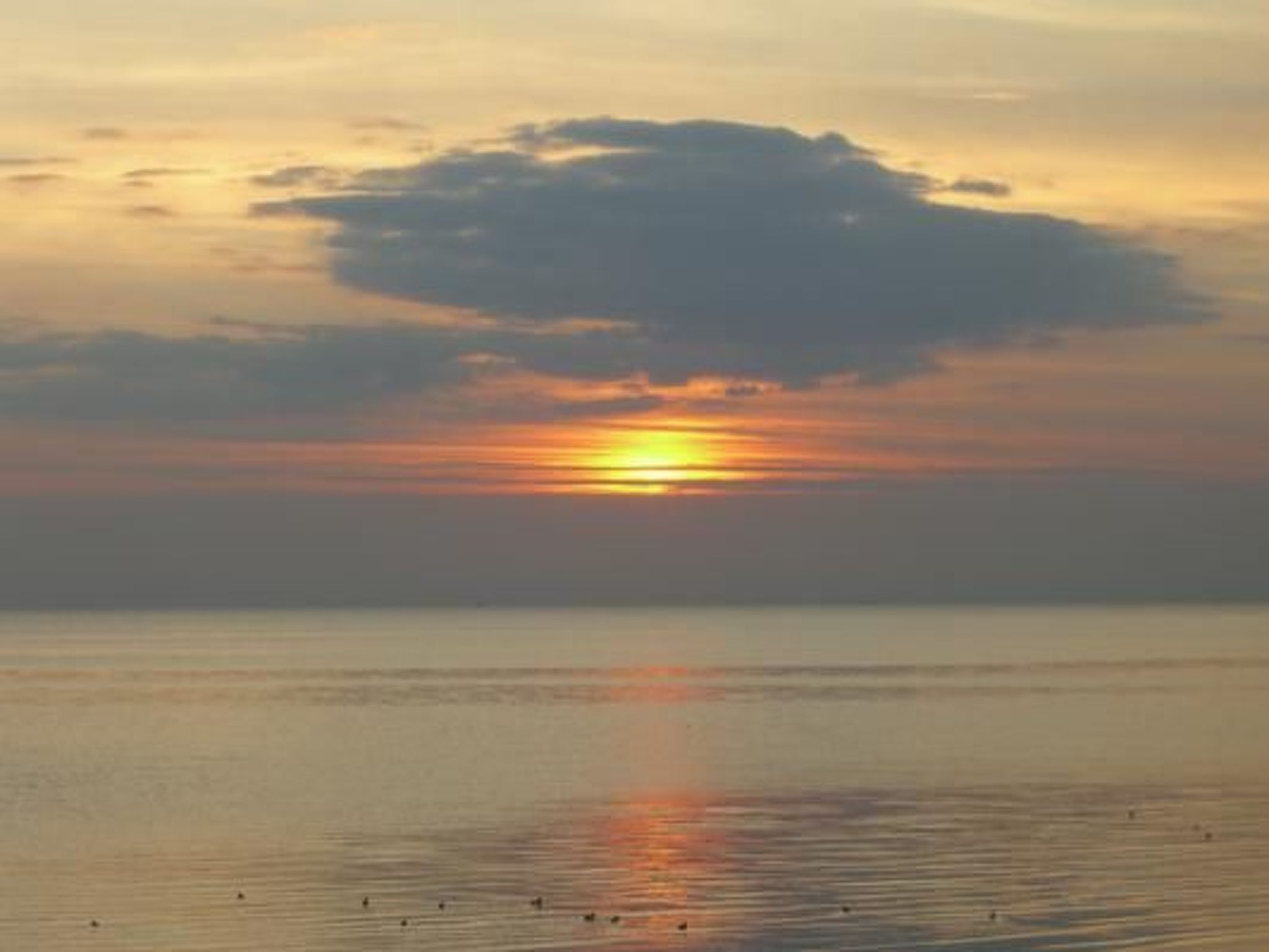 Gemütliche Ferienwohnung in Upleward mit Balkon-Binnen