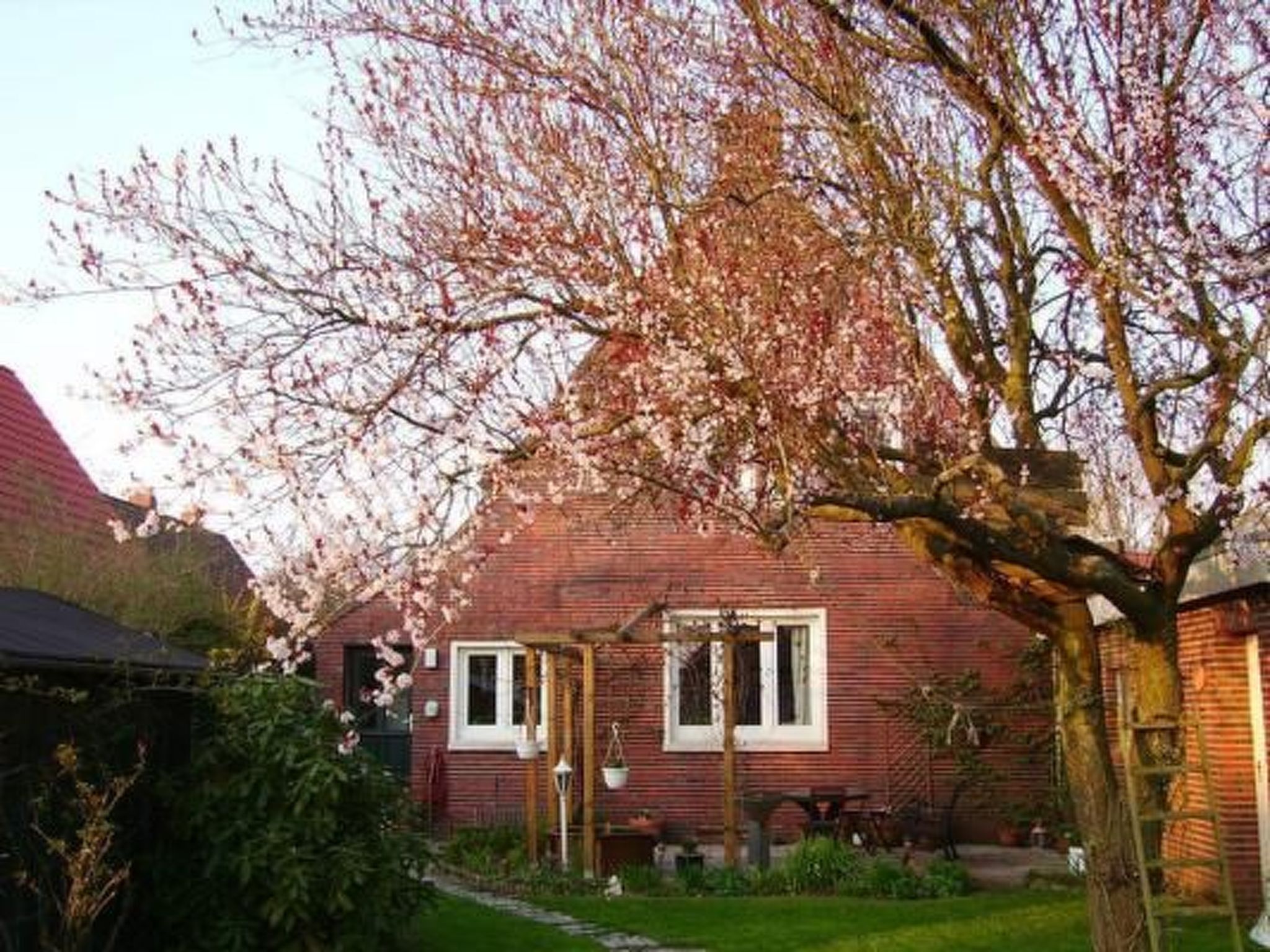 In Norden mit großem Garten-Inside