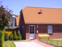 Seerobbe in Norden