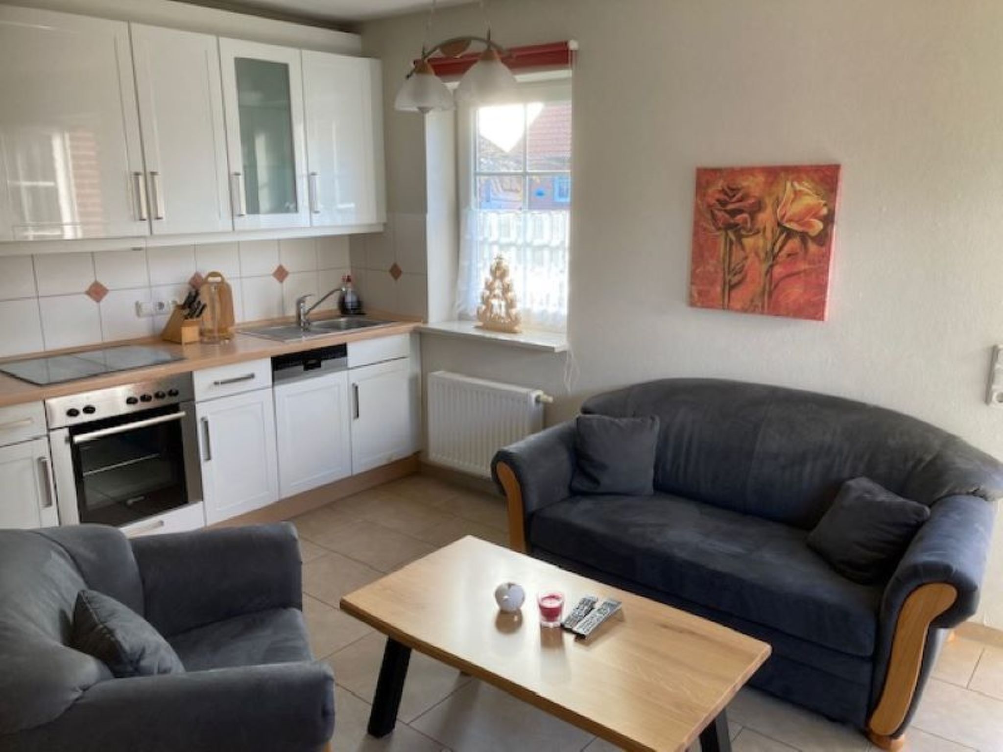 Seerobbe in Norden-Inside