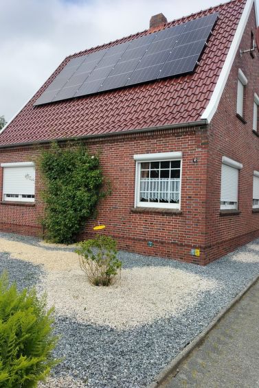 Seehase - Norden