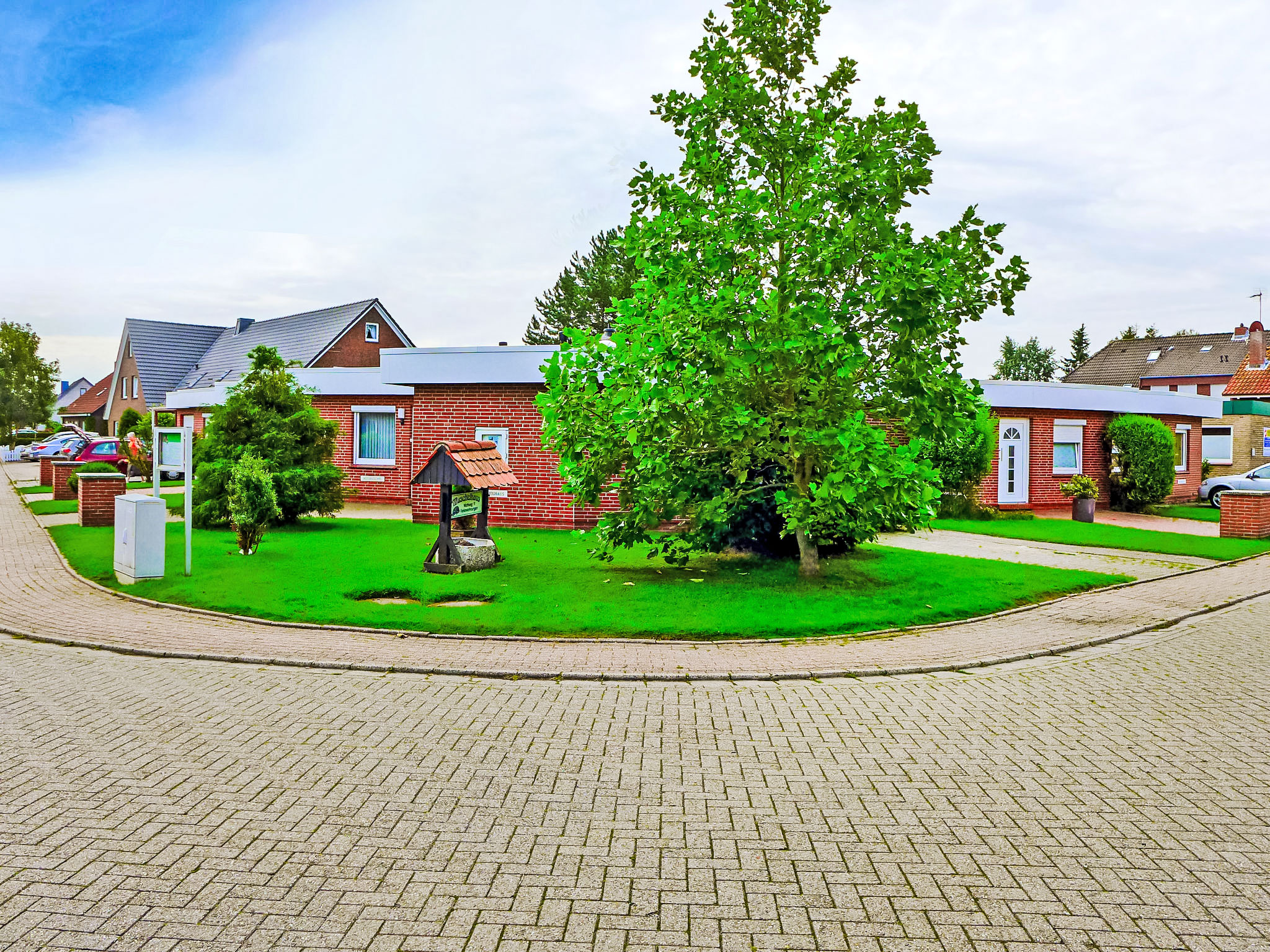 Venusmuschel – Norddeich – Nordsee