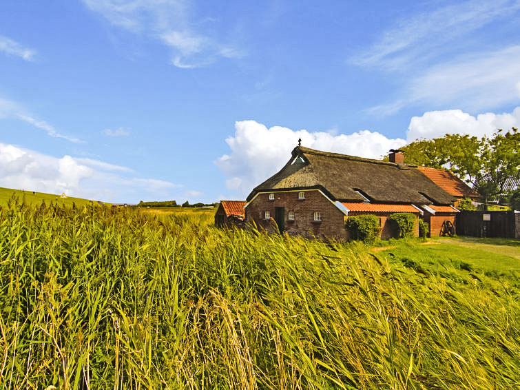 Foto: Norddeich - Nedersaksen