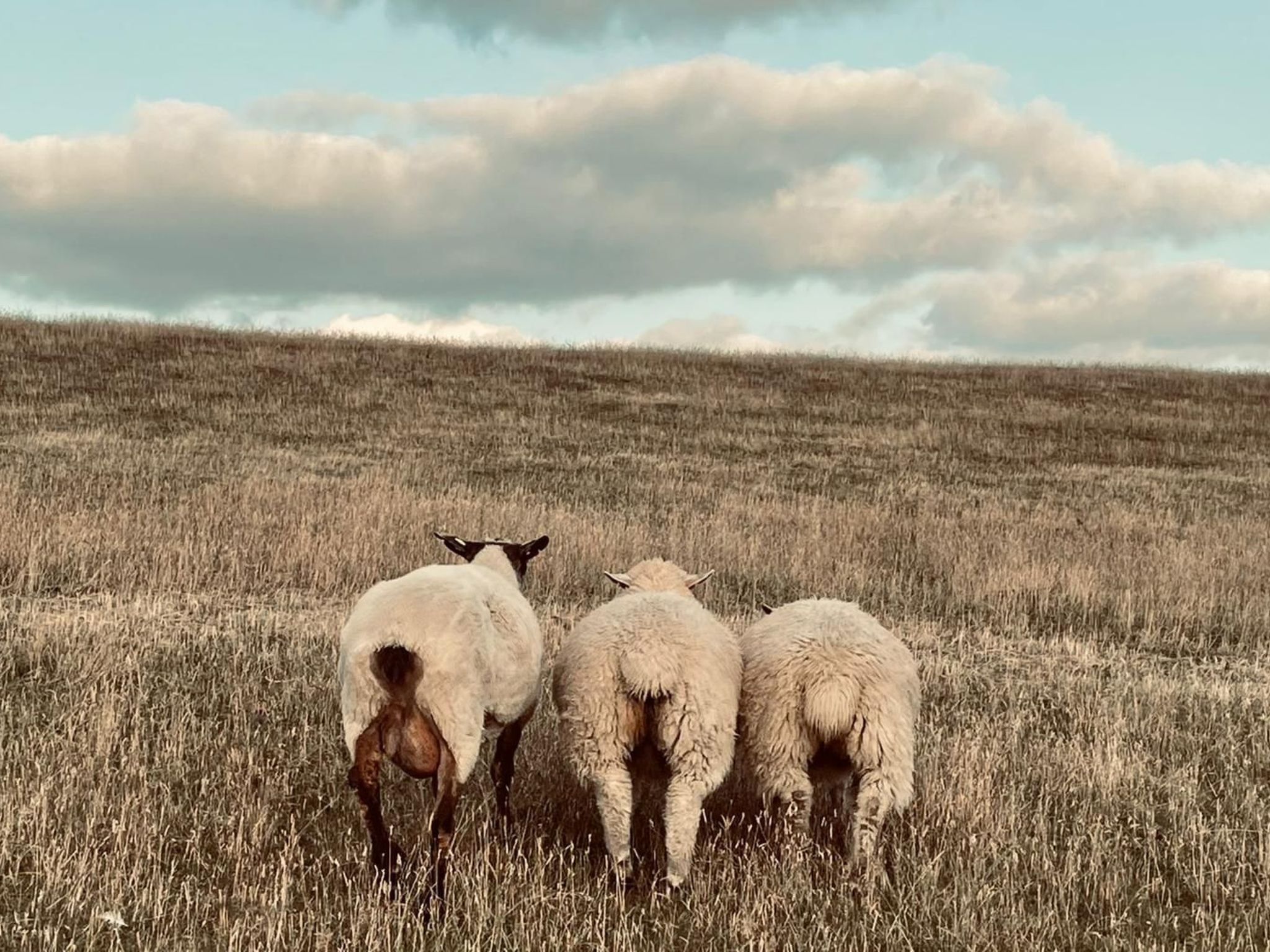 Ankerplatz-Image-tags.info