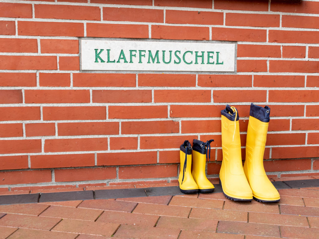 Klaffmuschel