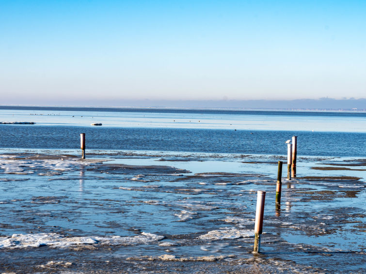 Strandläufer