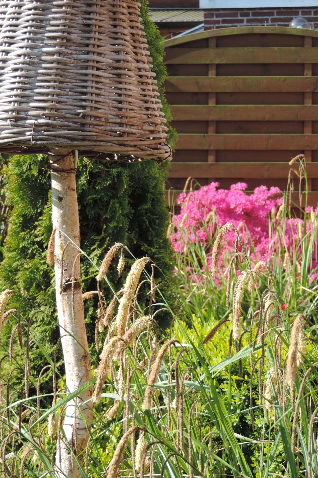 Dat luettje Huus 1-Image-tags.info