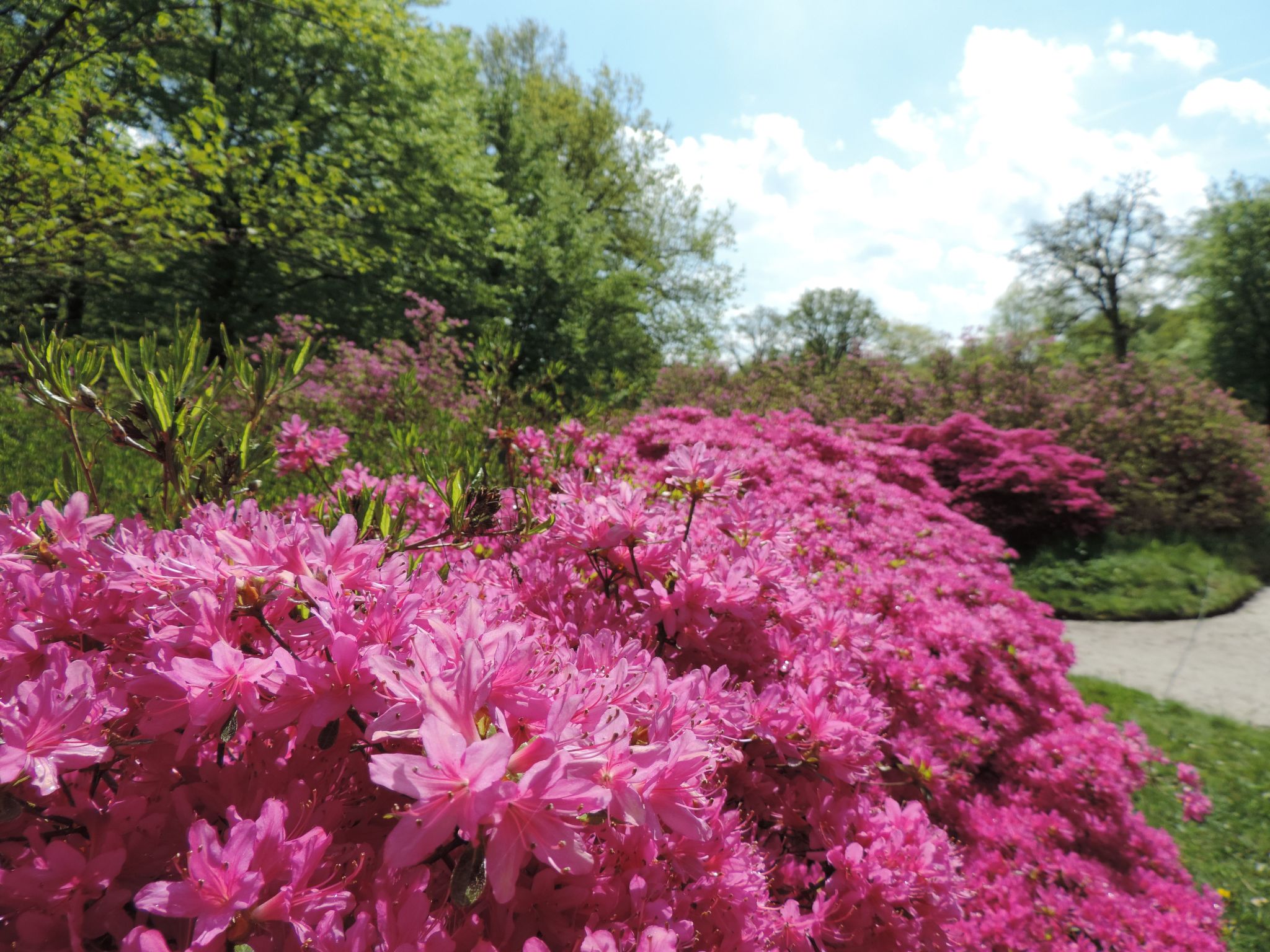 Dat luettje Huus 1-Image-tags.info