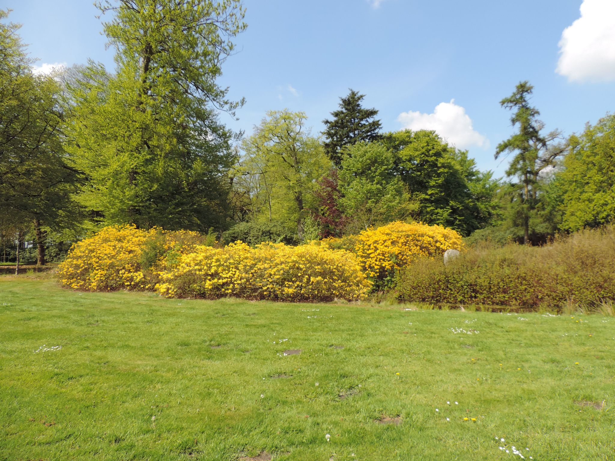 Dat luettje Huus 1-Image-tags.info