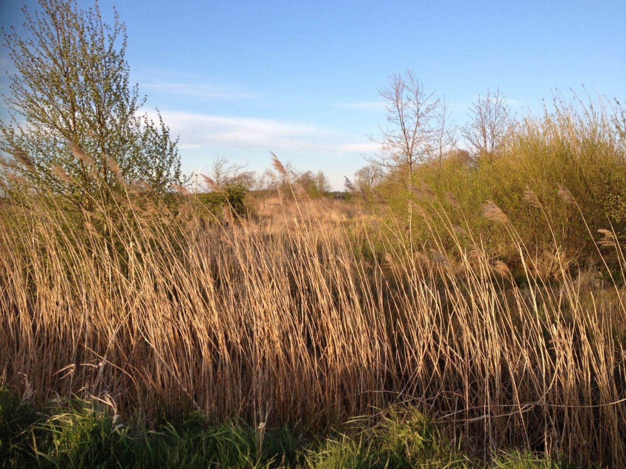 Dat luettje Huus 1-Image-tags.info