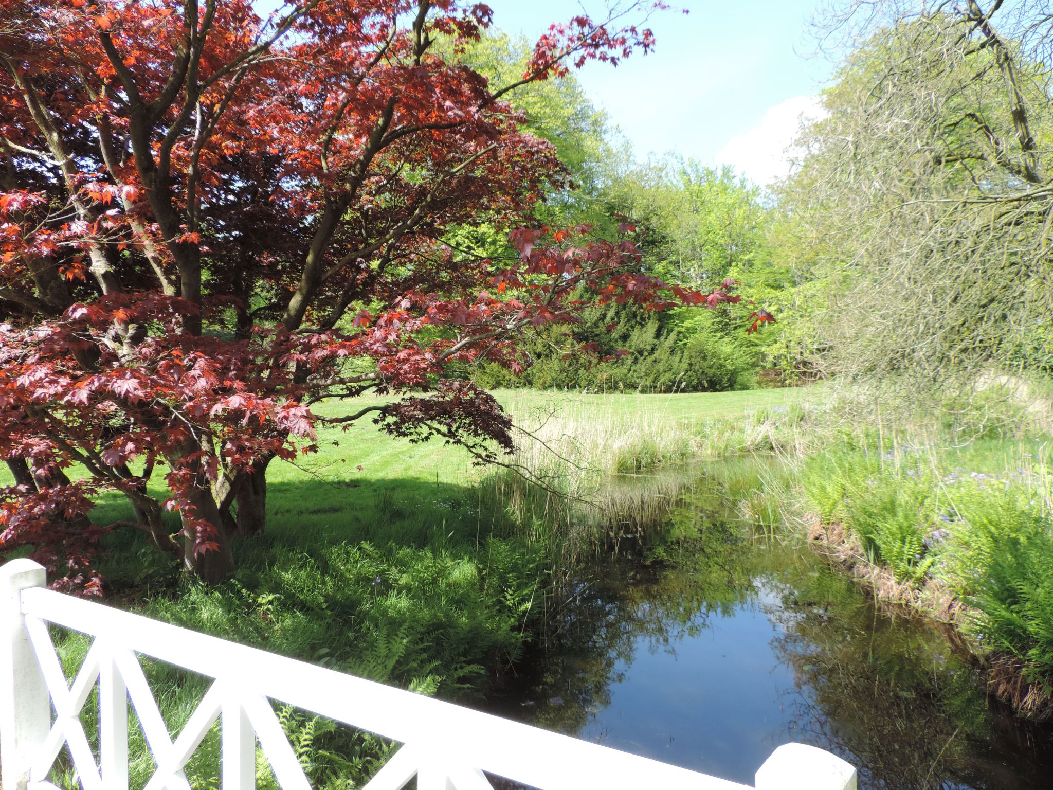 Dat luettje Huus 1-Image-tags.info