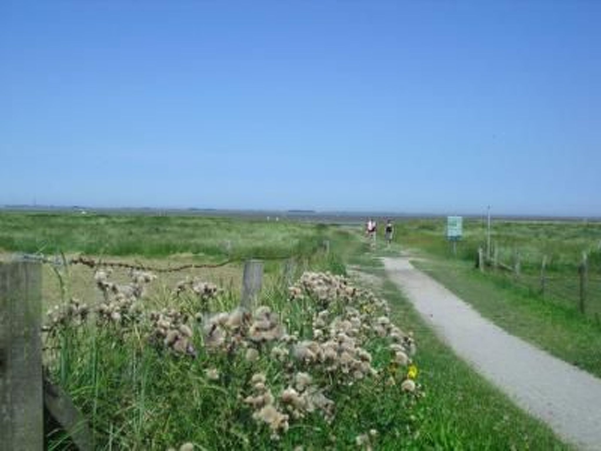 Geräumige Ferienwohnung mit Garten und Grill-Inside