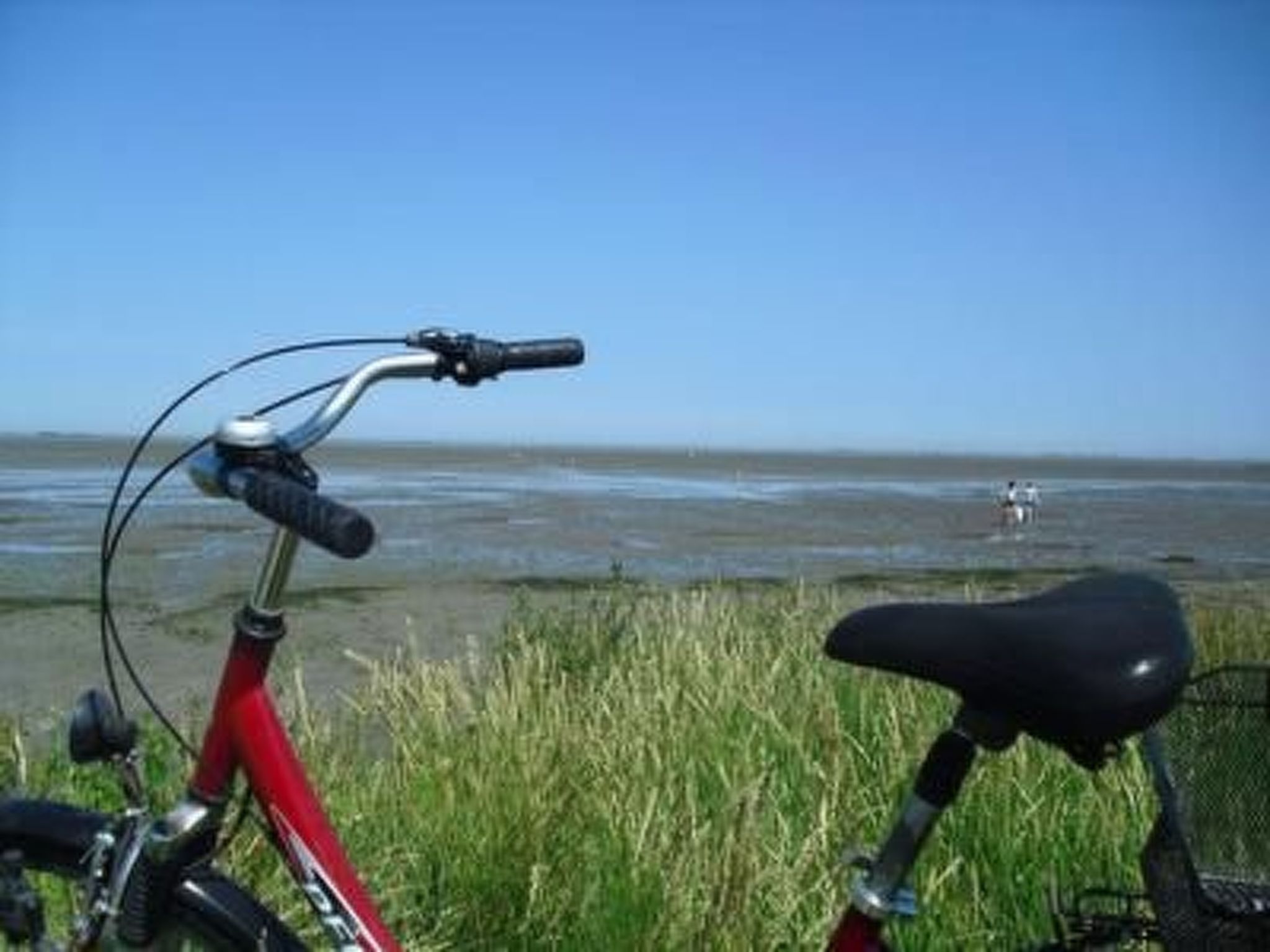 Geräumige Ferienwohnung mit Garten und Grill-Inside