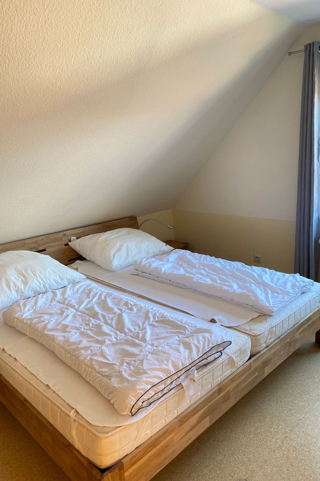 Sonneneck-Image-tags.info