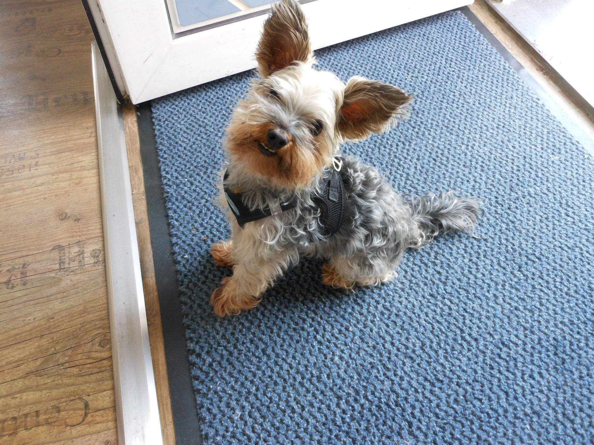 Freistehendes Friesenhaus Heimathafen-Image-tags.info