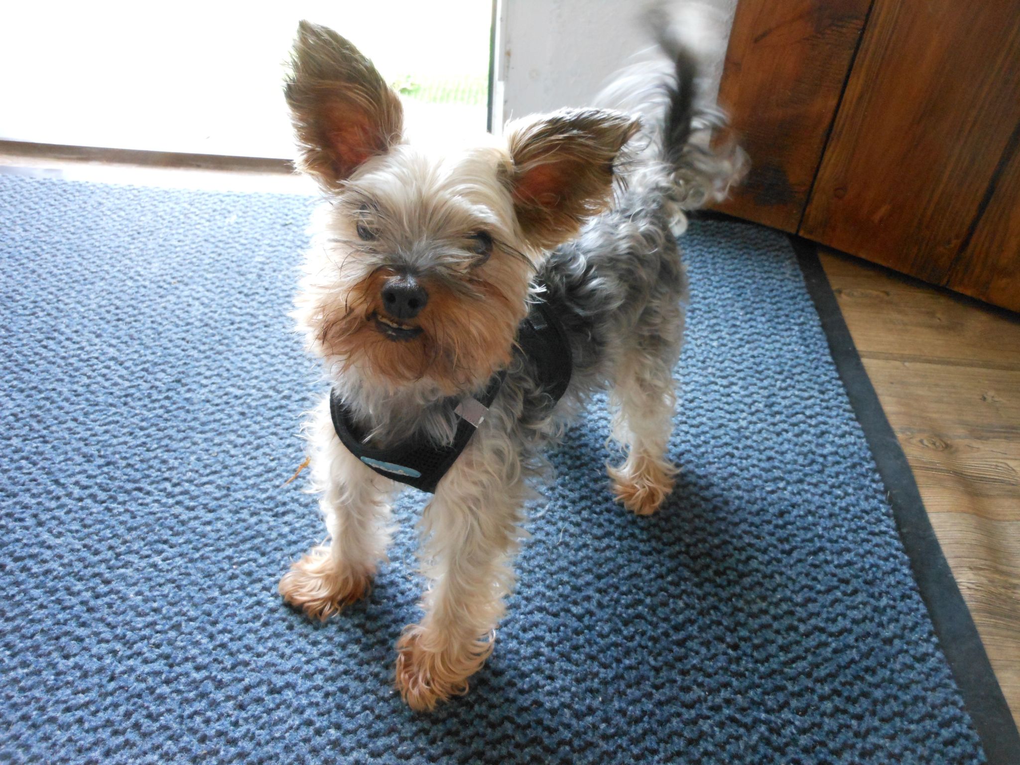 Freistehendes Friesenhaus Heimathafen-Image-tags.info