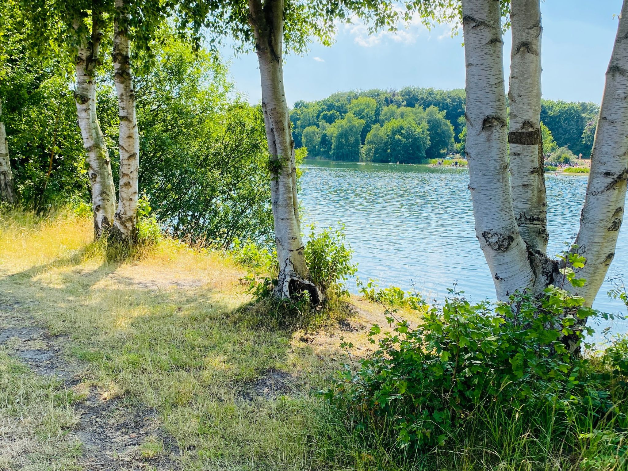 Doppelhaushälfte Seeterrasse-Image-tags.info