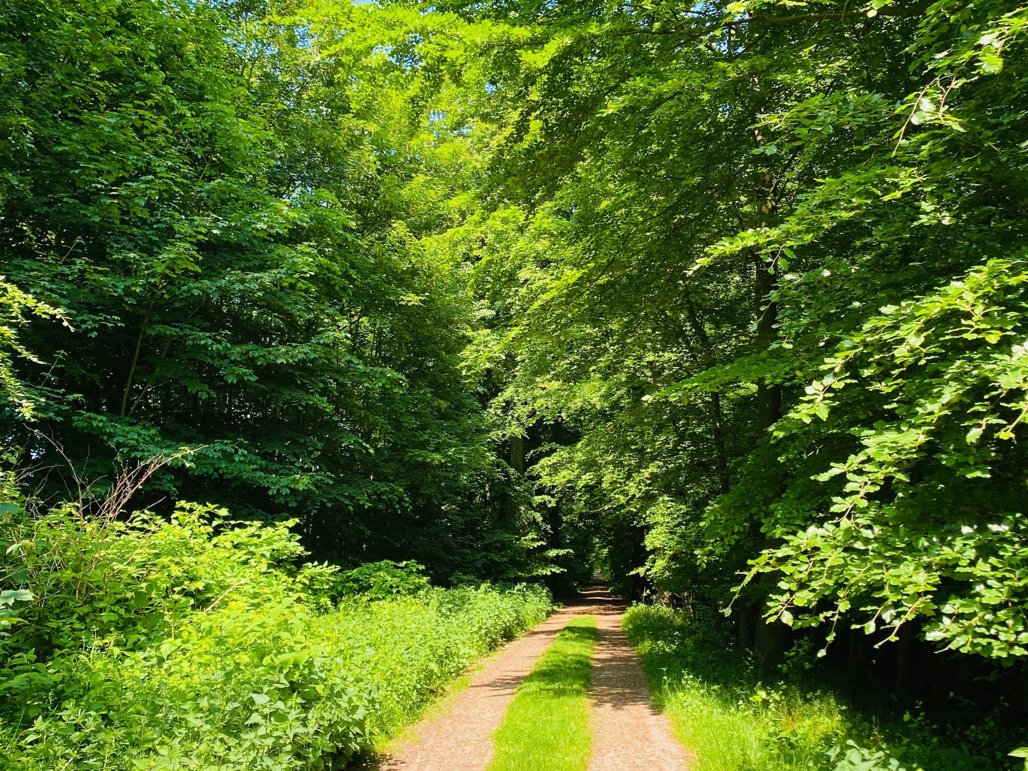 Seeblick-Image-tags.info