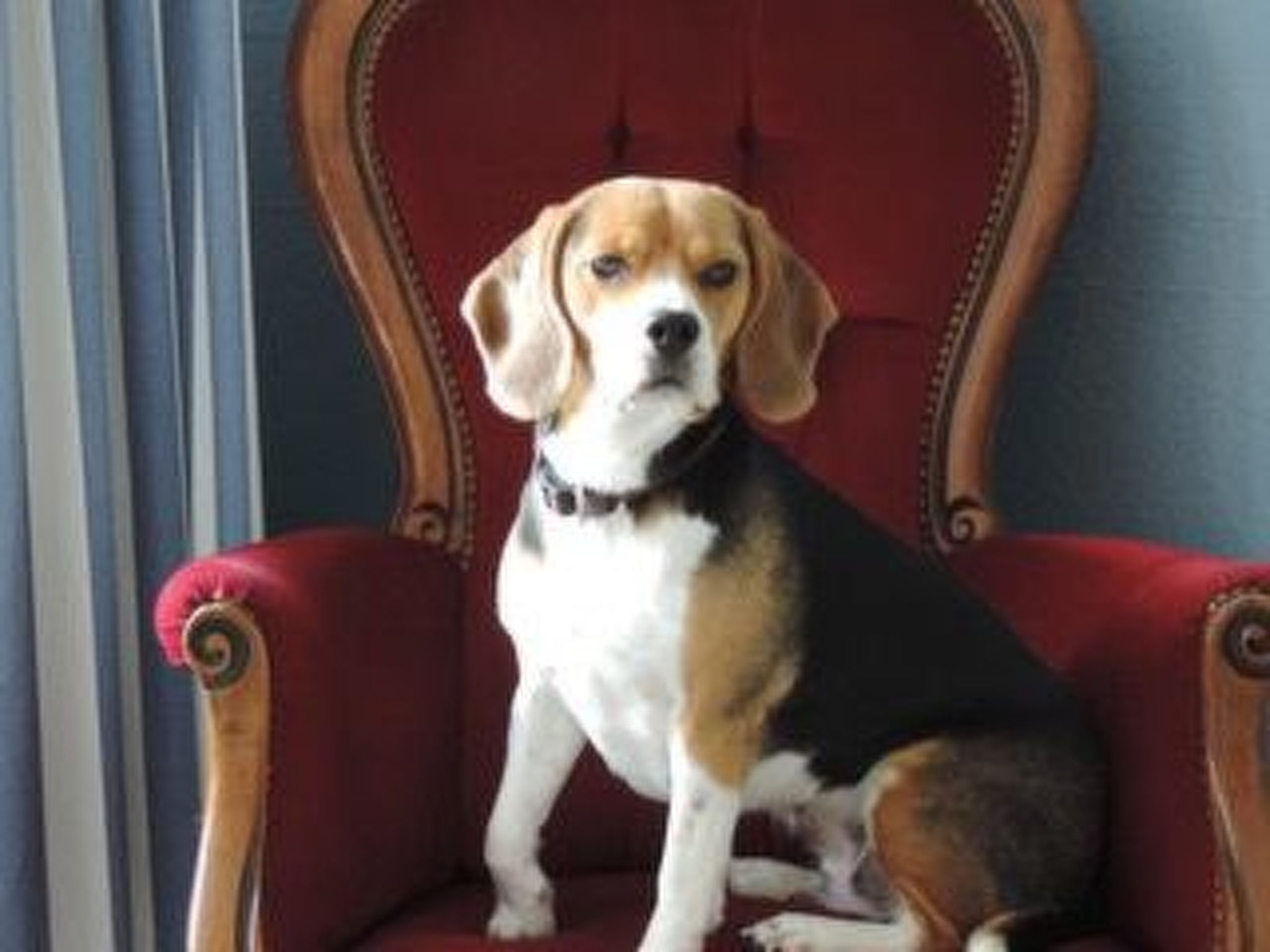 Liebevoll eingerichtetes Wohlfühl Ferienhaus-Image-tags.info