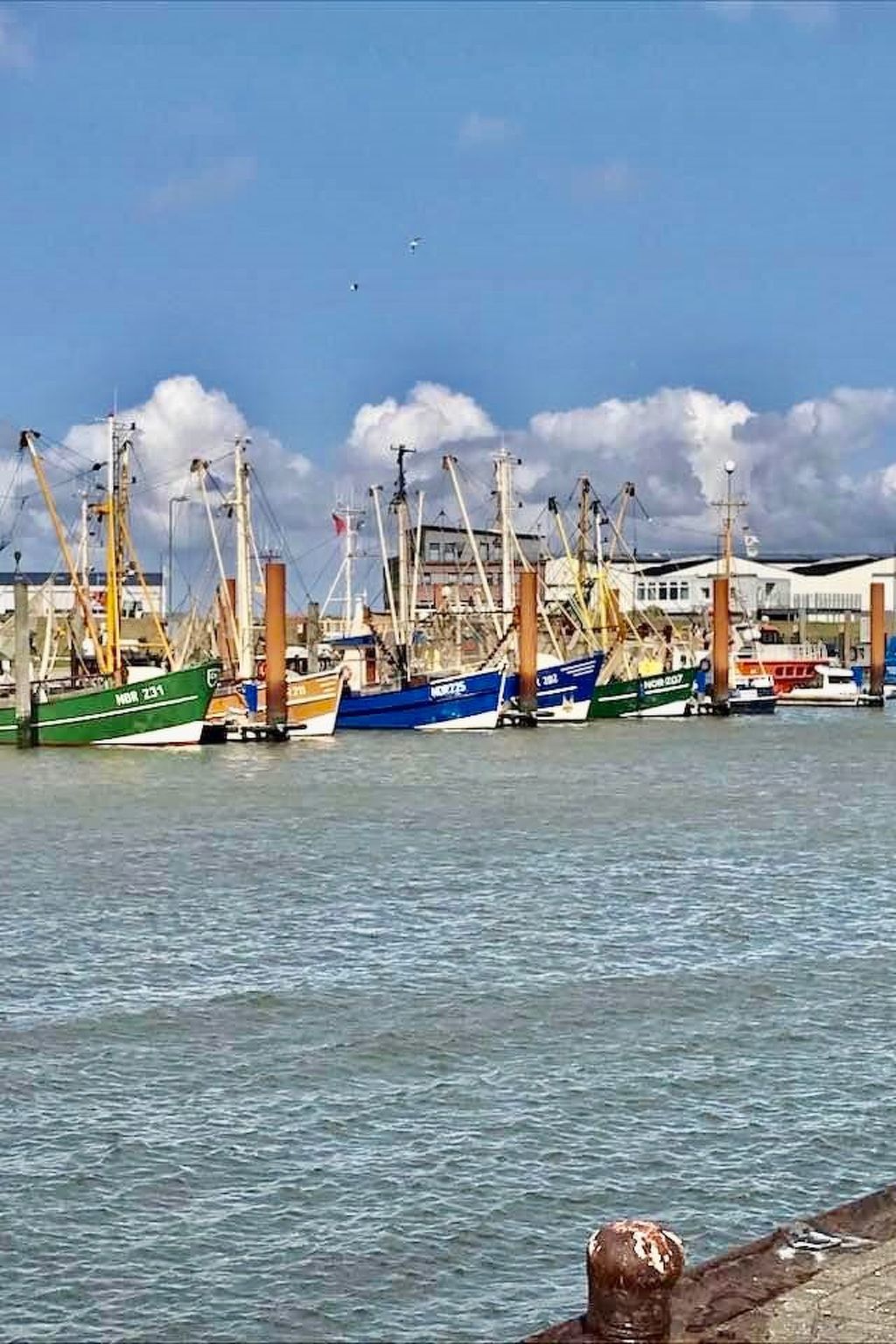 In Hage mit Garten, Terrasse und Grill-Binnen