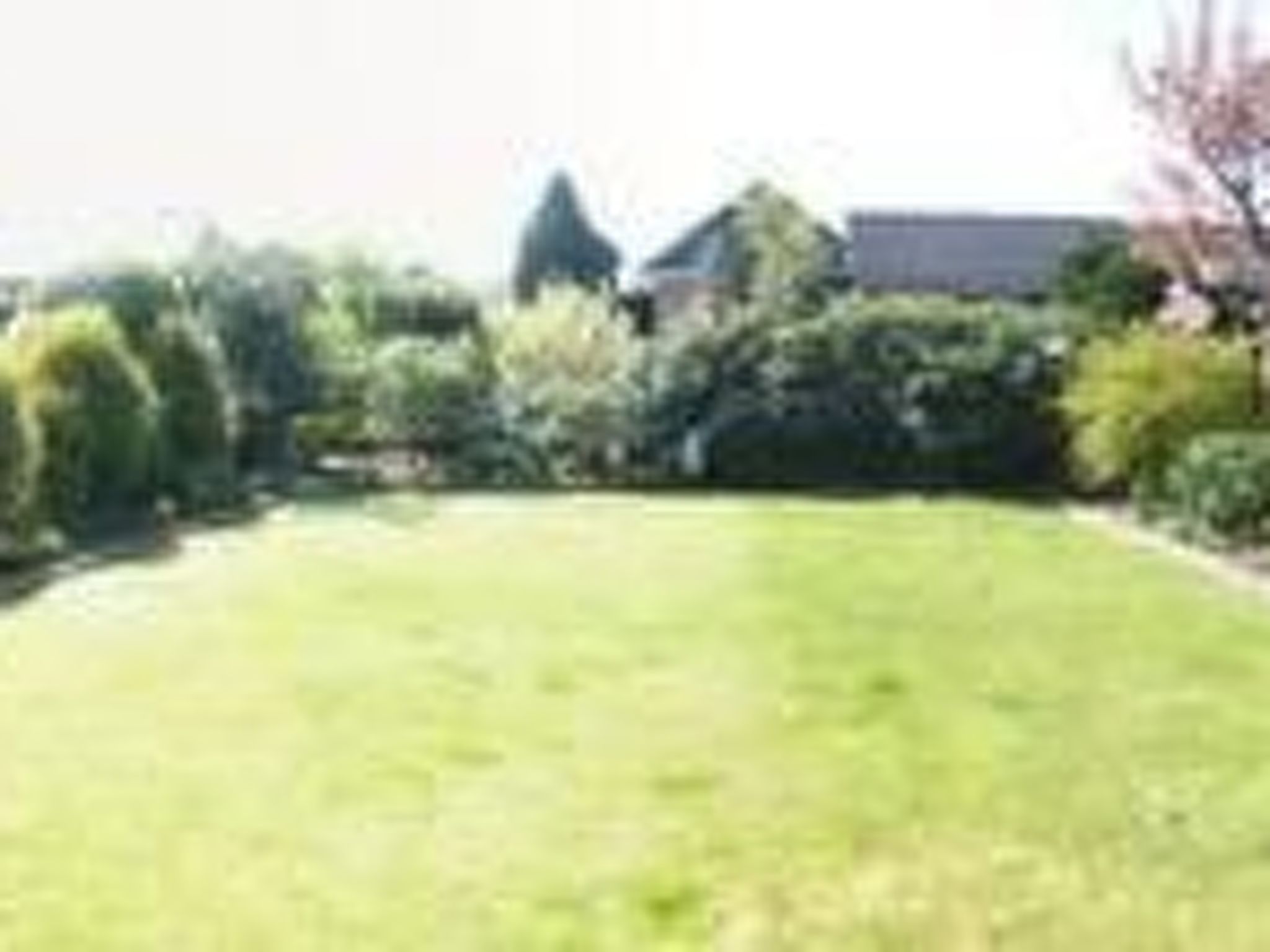 Eule-Image-tags.info