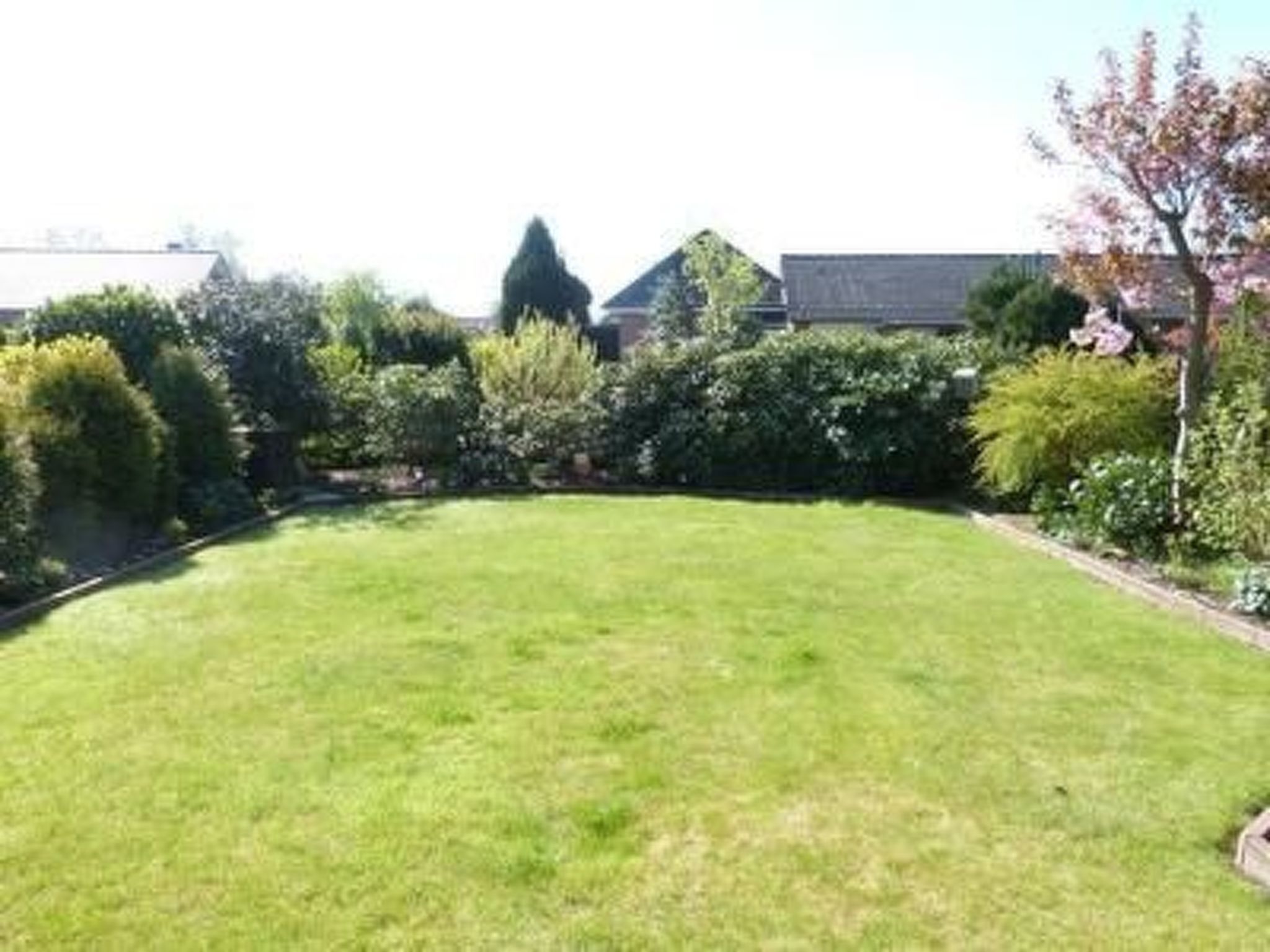 Eule-Image-tags.info