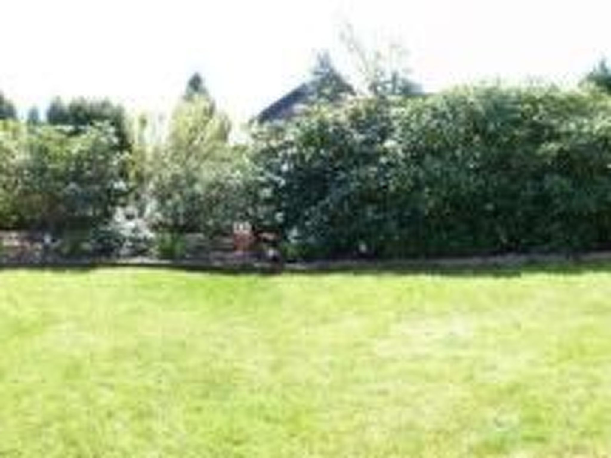 Eule-Image-tags.info