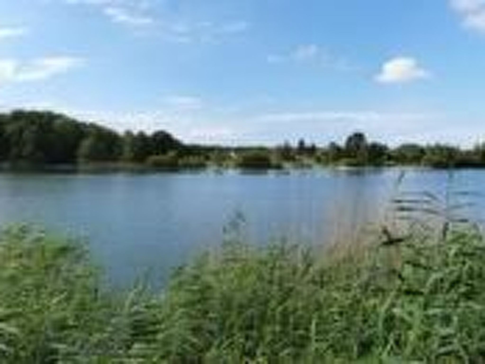 Eule-Image-tags.info