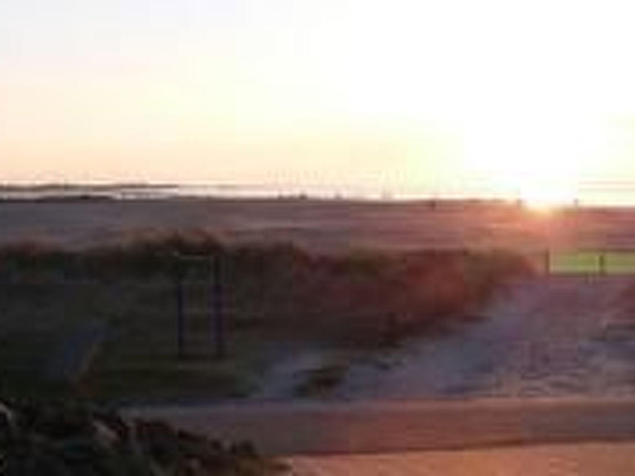 Eule-Image-tags.info