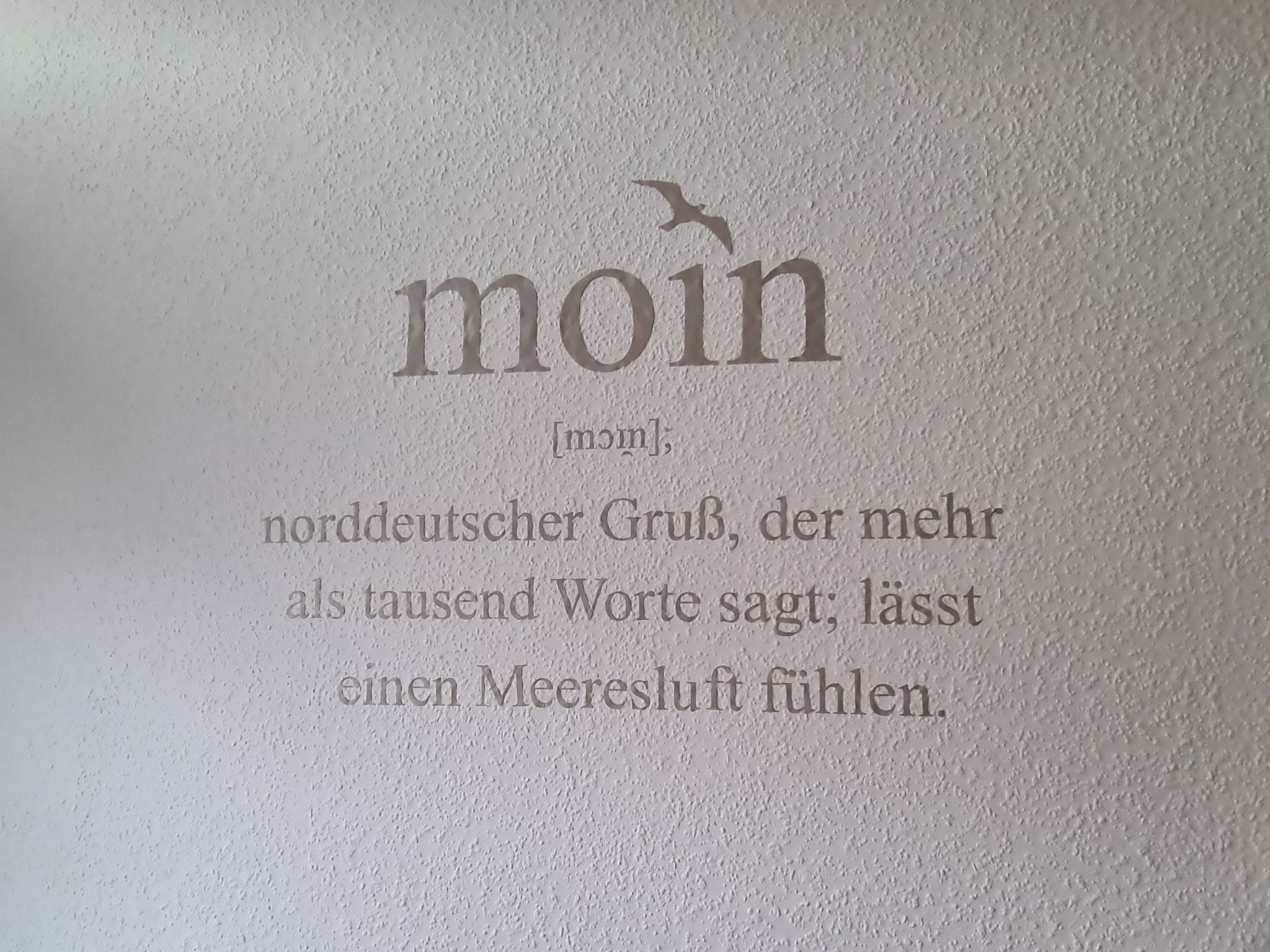 Kleine Möwe-Image-tags.info