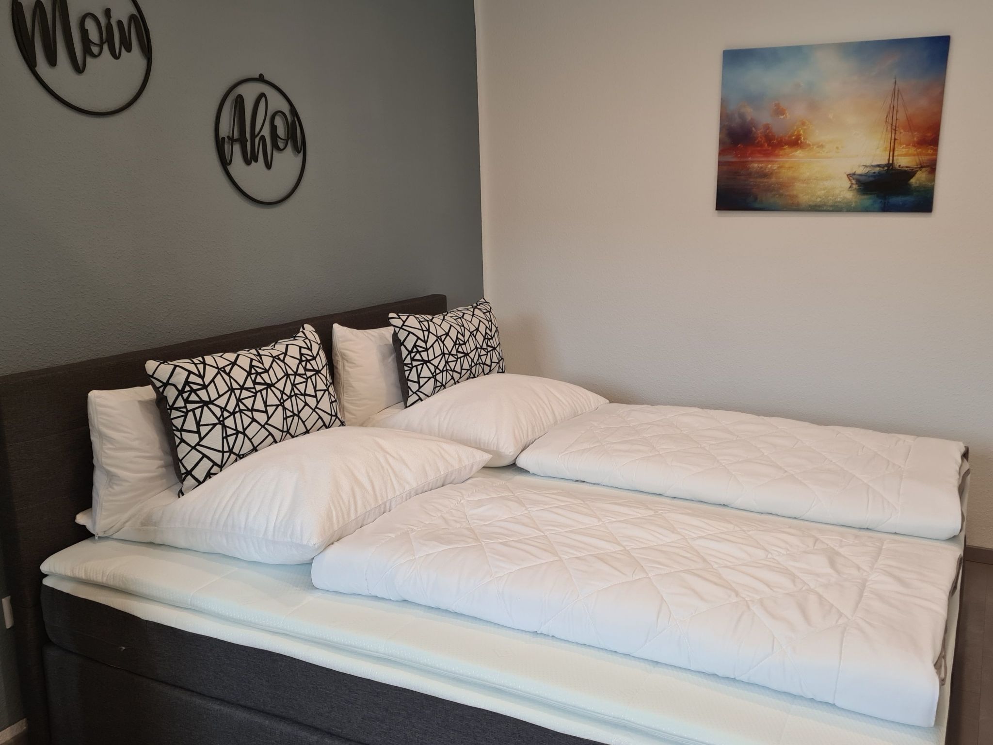 Kleine Möwe-Image-tags.info