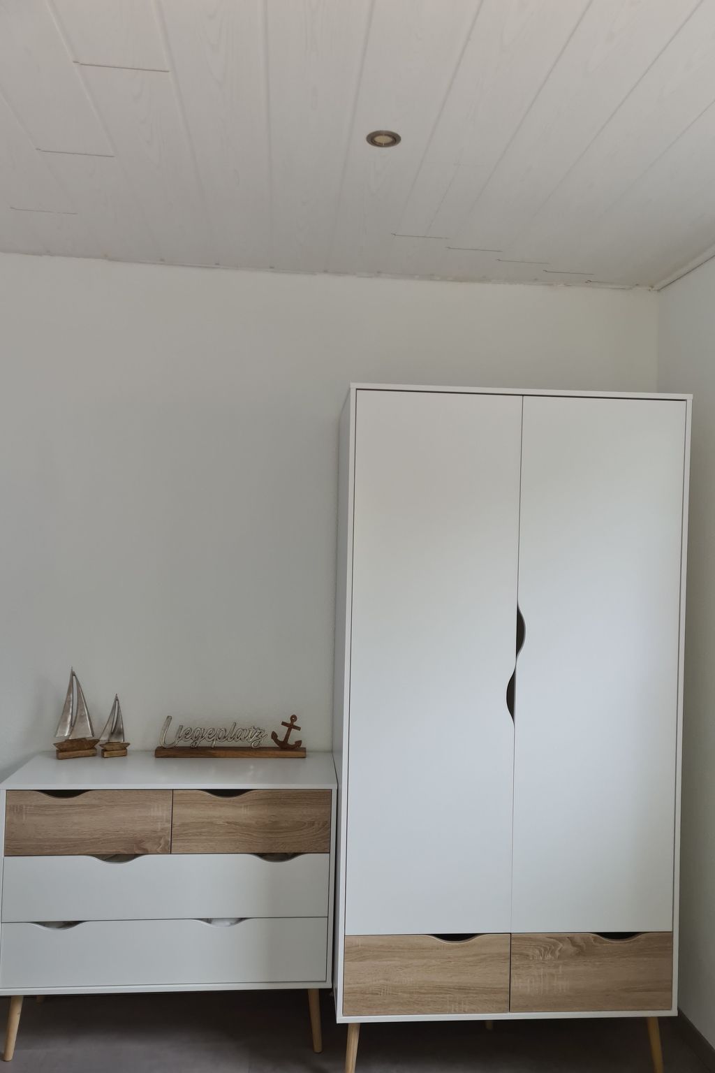 Kleine Möwe-Image-tags.info