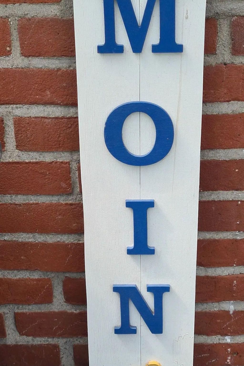 Kleine Möwe-Image-tags.info