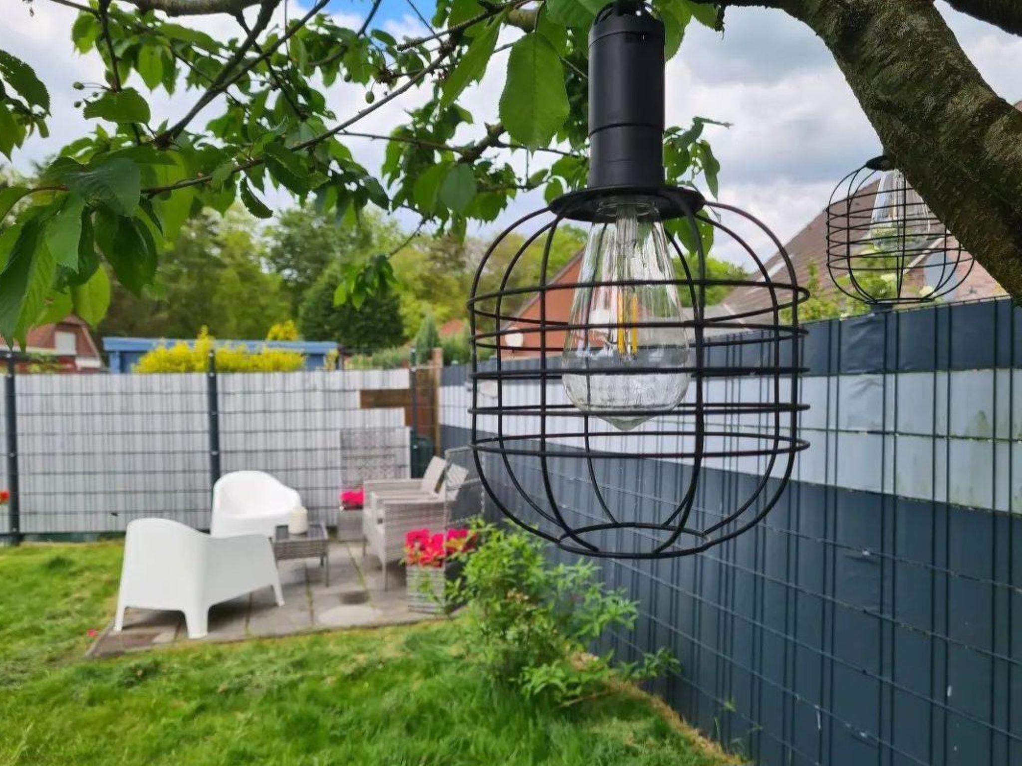 Kleine Möwe-Image-tags.info