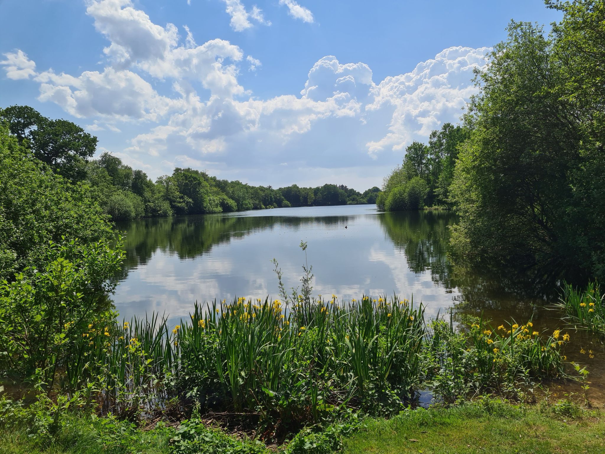 Kleine Möwe-Image-tags.info