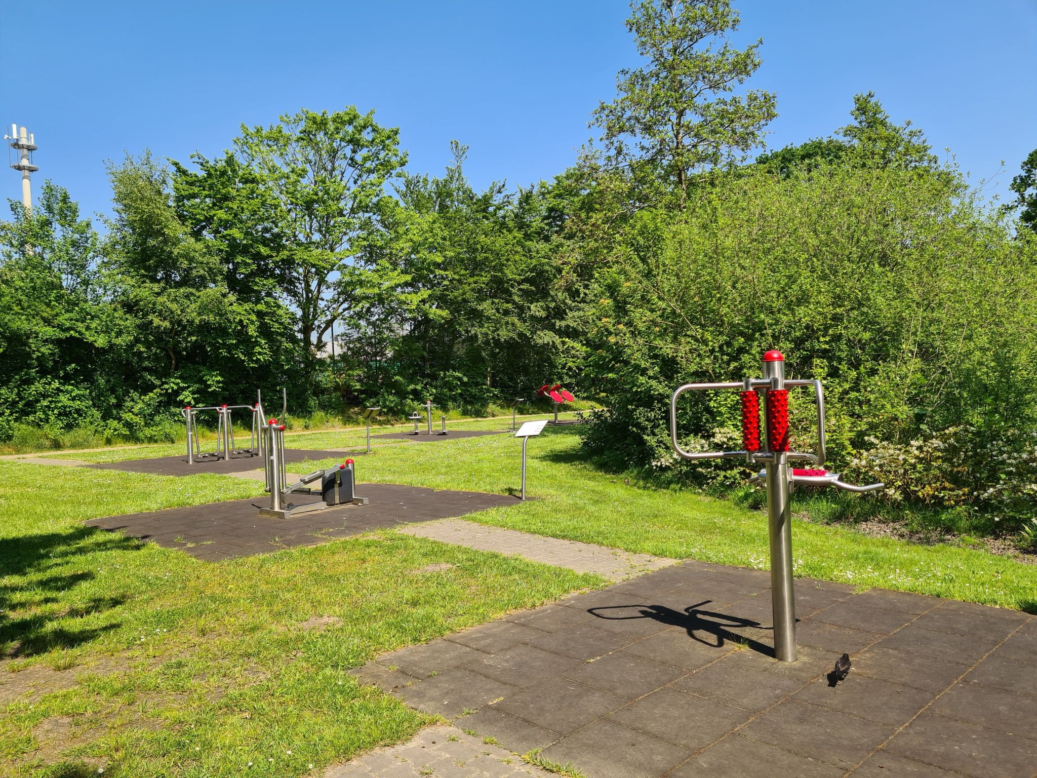 Kleine Möwe-Image-tags.info