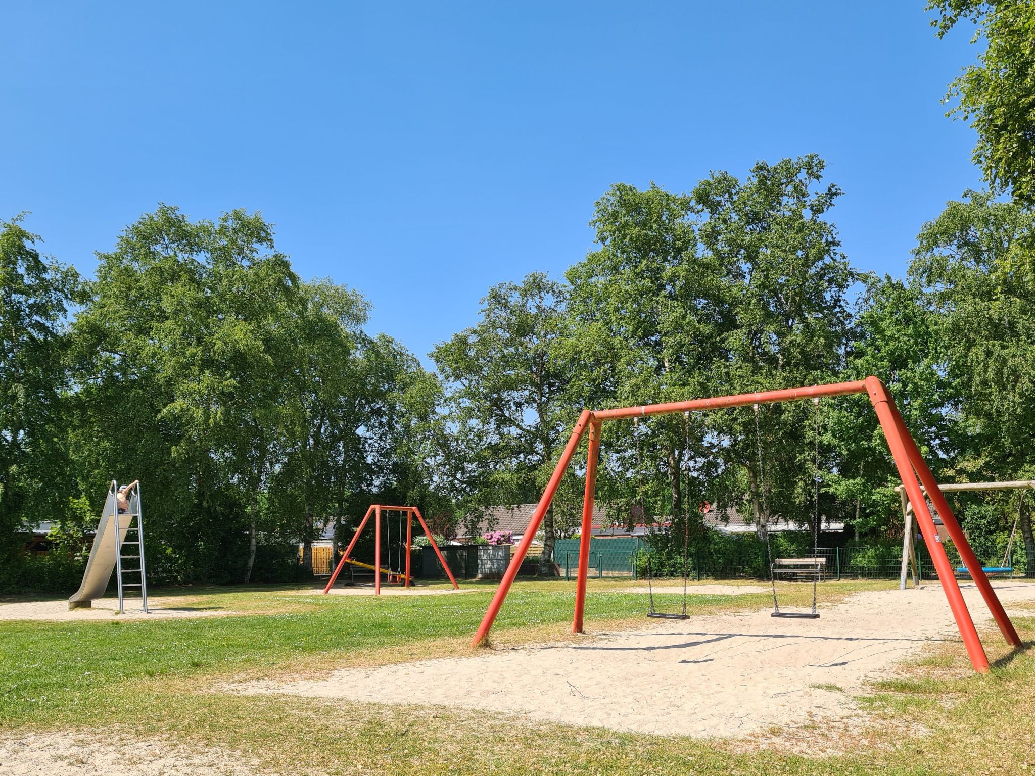 Kleine Möwe-Image-tags.info