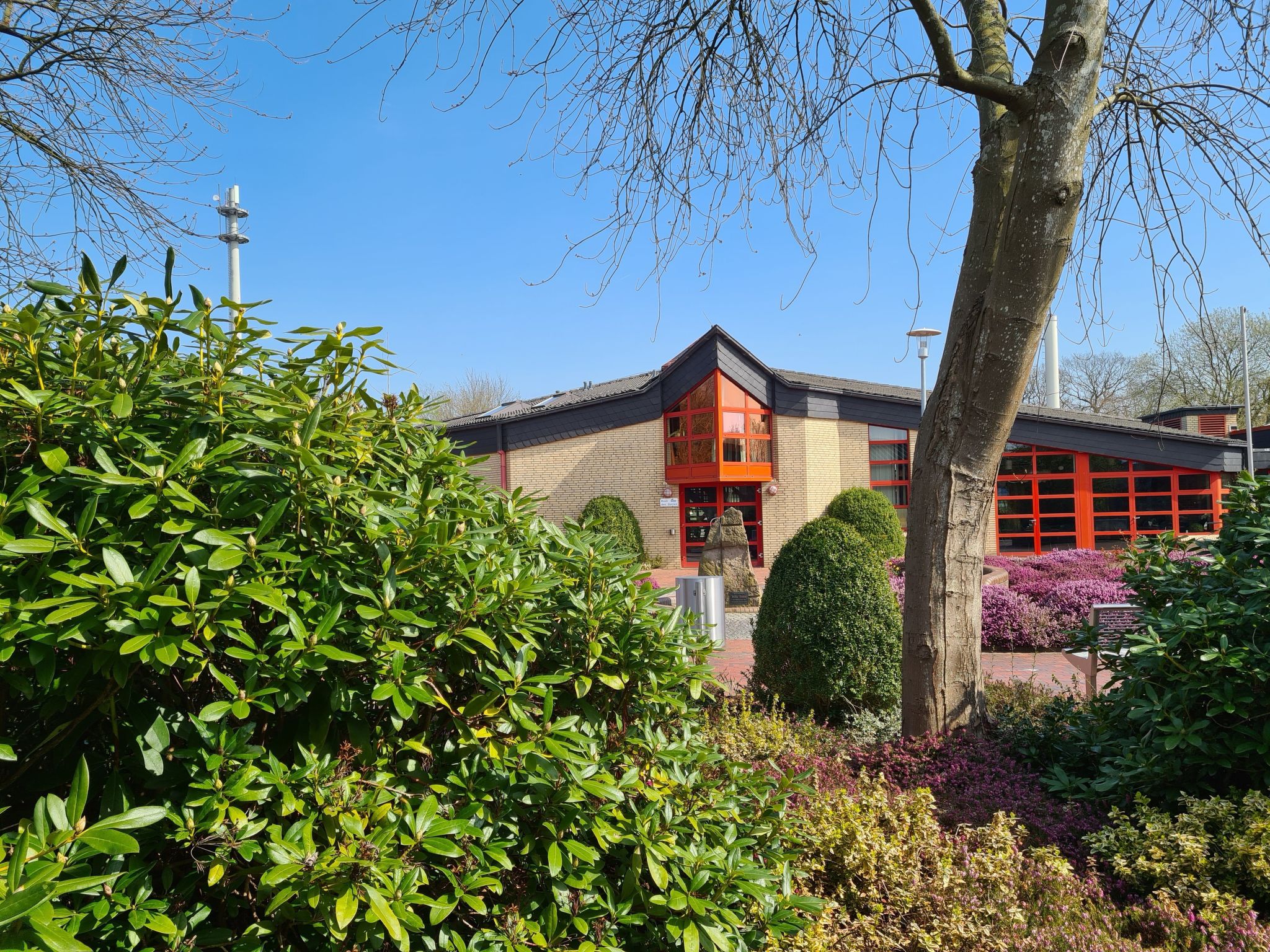 Kleine Möwe-Image-tags.info